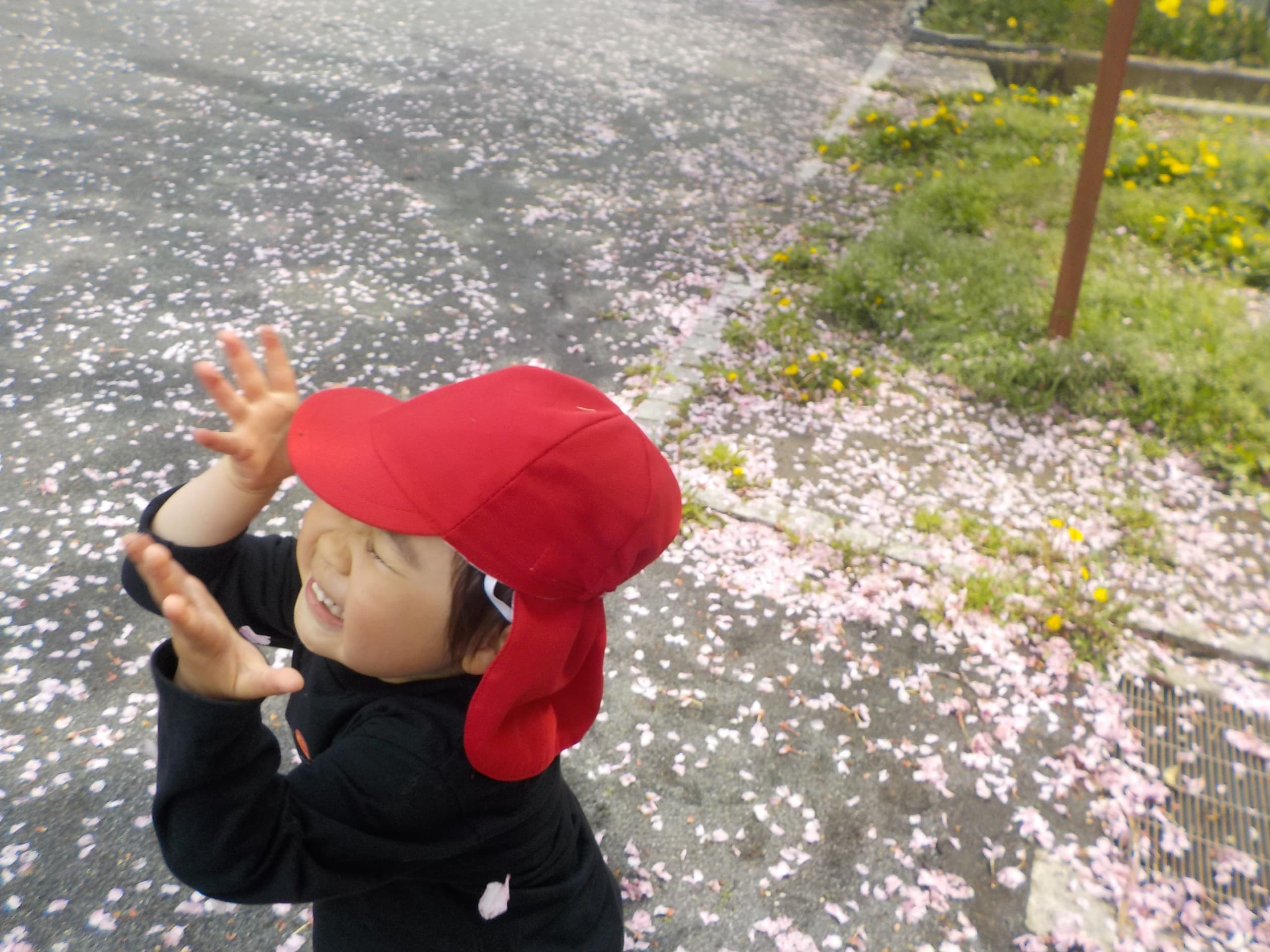 img20220506114400921629.jpg